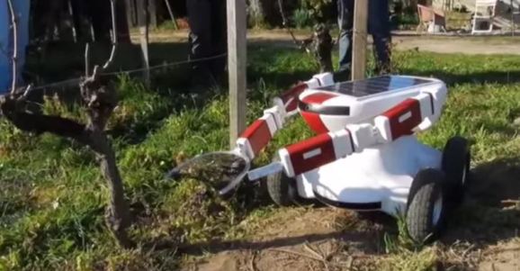 pruner robot