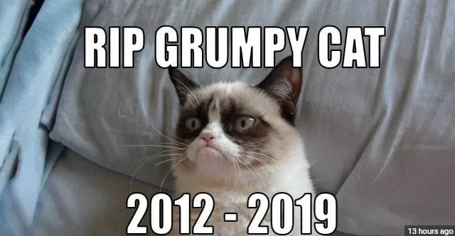 rip grumpy cat.JPG