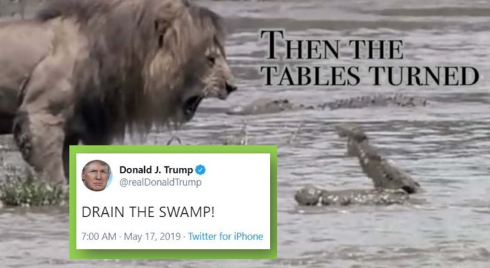 tables turned drain swamp.jpg
