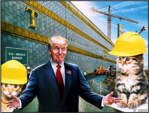 trump cat 2 giorgio