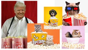 Trump cats and popcorn