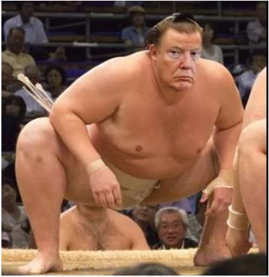 trump sumo 2