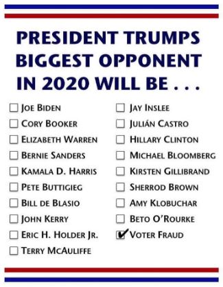 voter fraud.JPG