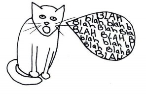 blah cat