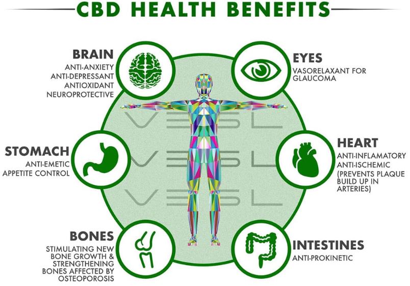 cbd health benefits