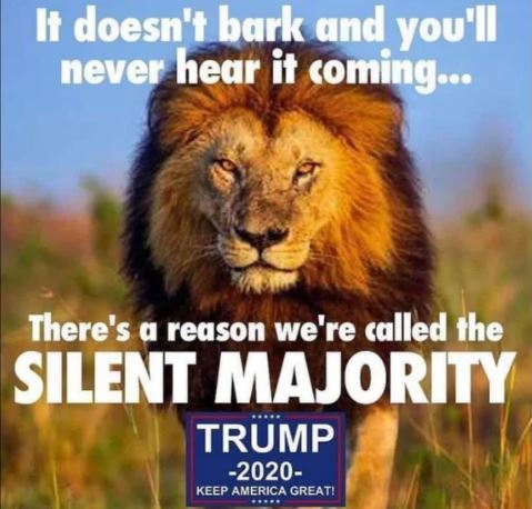 lion majority.JPG