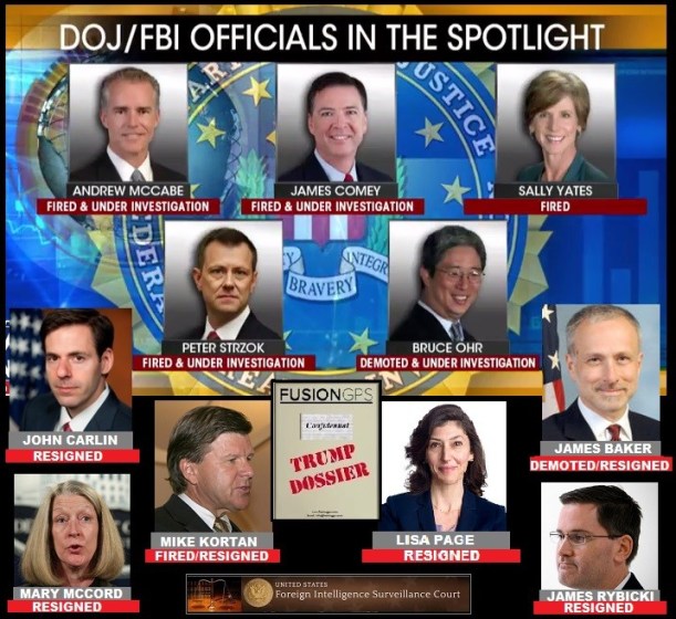 swamp profile.jpg