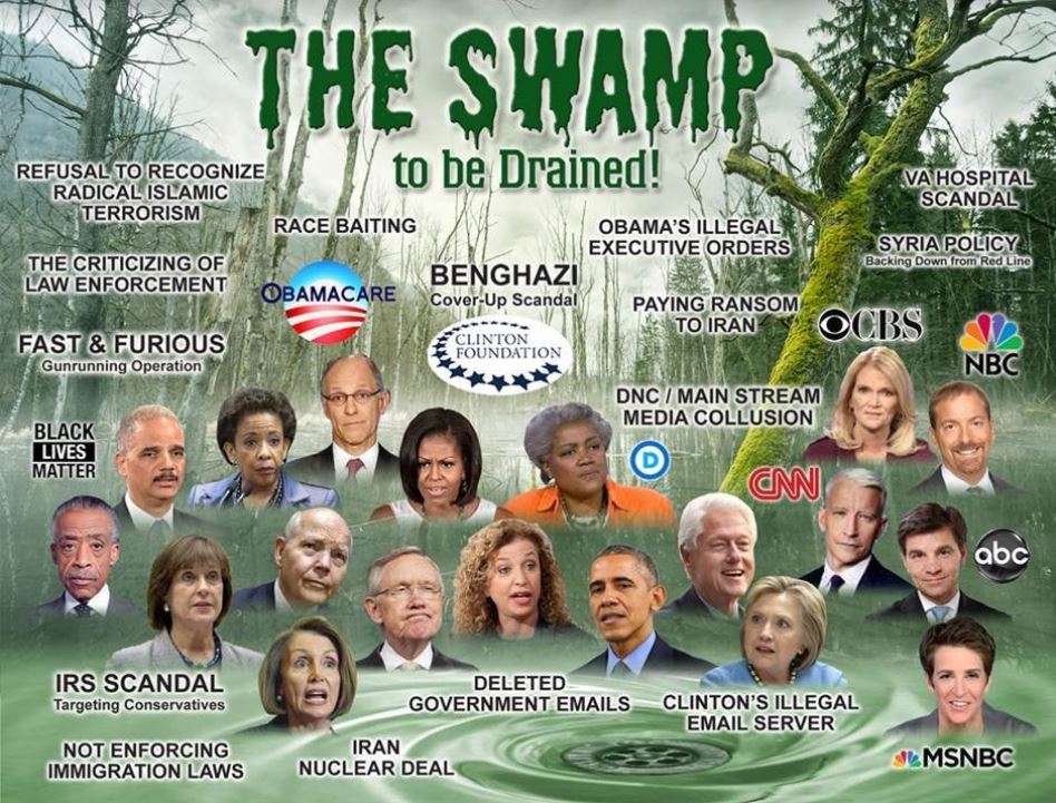 the swamp drained