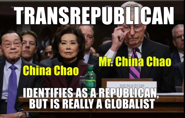 transrepublican chao mcconnell