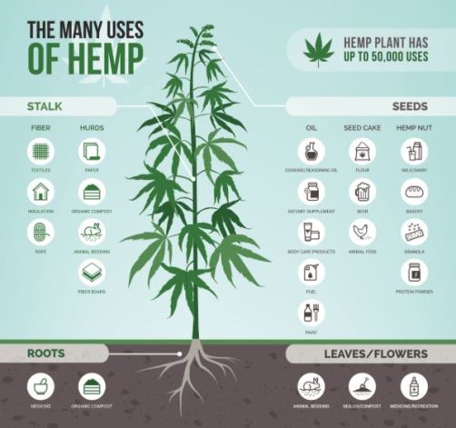 uses of hemp