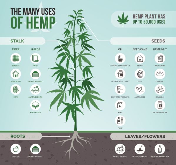 uses of hemp.JPG