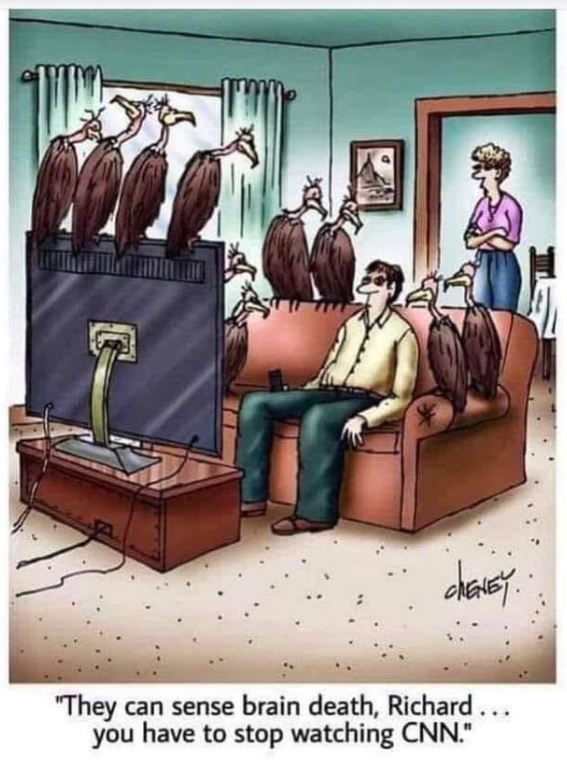vultures cnn.JPG