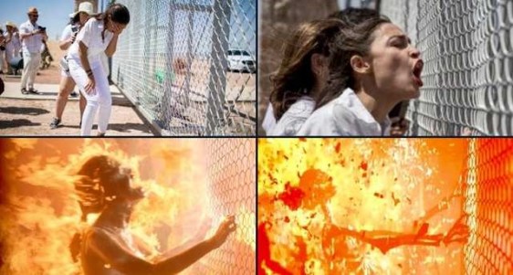aoc at fence.jpg