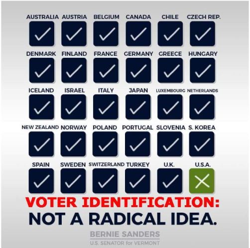 bernie voter id election