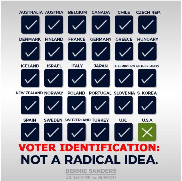 bernie voter id election.JPG