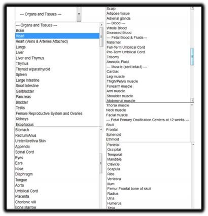 body parts menu.jpg