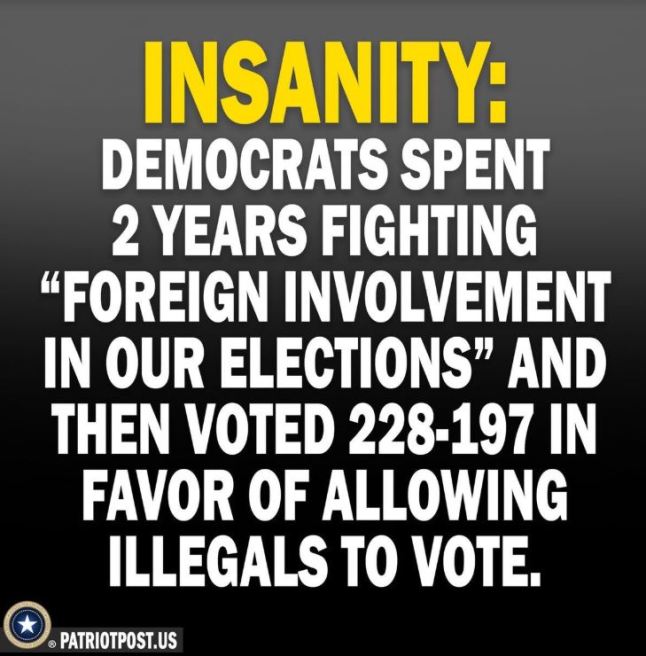 democrat insanity illegal.JPG
