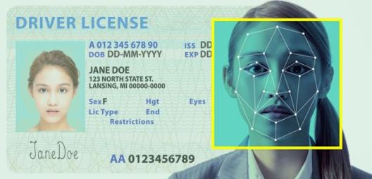 drivers license.JPG