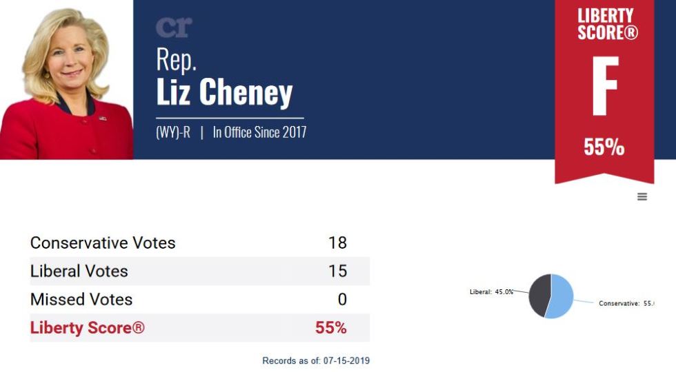 liz cheney score