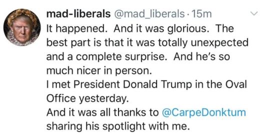 mad liberal tweet.JPG