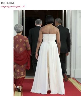 michelle obama mike