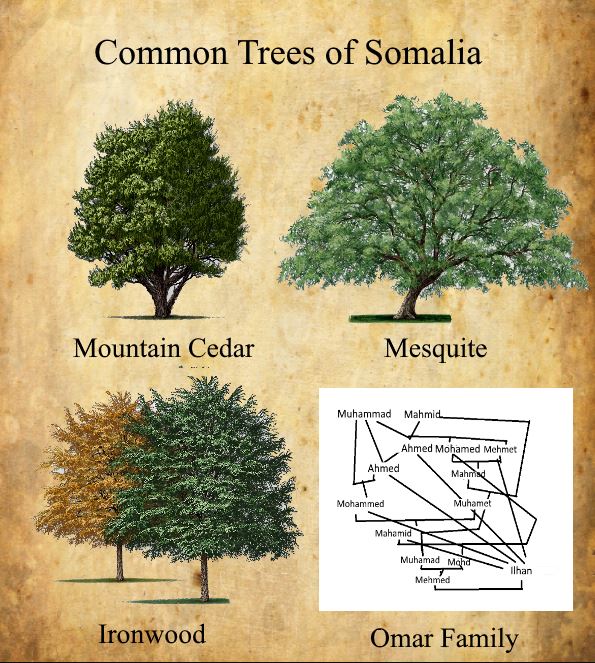 omar family tree.JPG