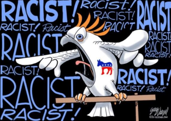 racist parakeet.JPG