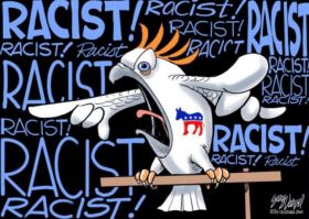 racist parakeet