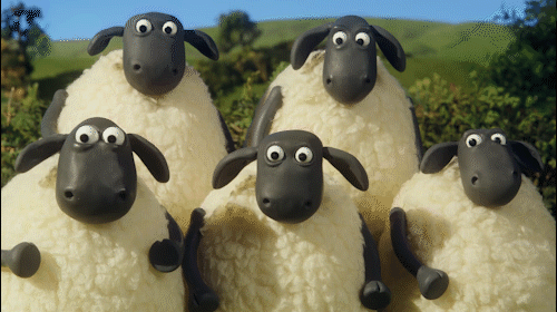 sheep.gif