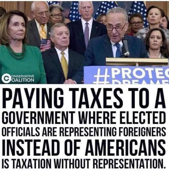 taxation without representation democrats.JPG