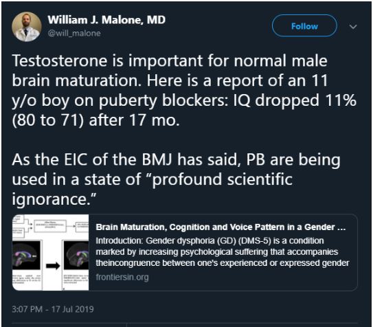 testosterone transvestites.JPG