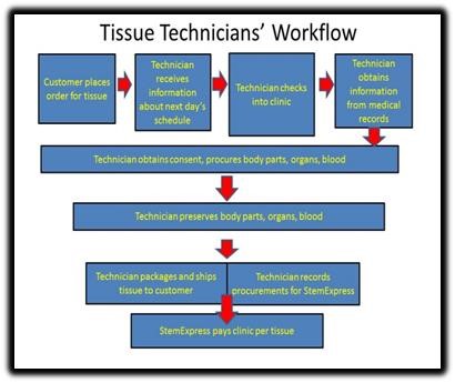 tissue technician.jpg