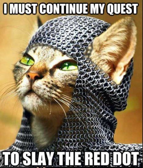 warrior kitty