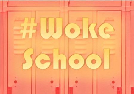 woke school
