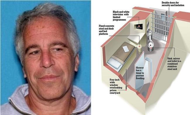 epstein cell.jpg