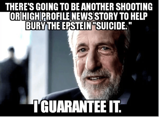 epstein distraction.png
