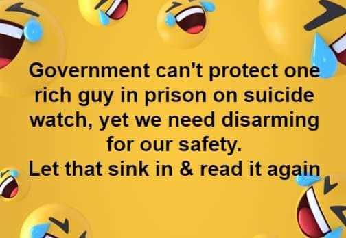 government protection.jpeg