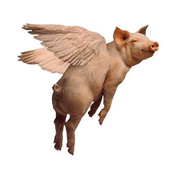 pig flies.jpg