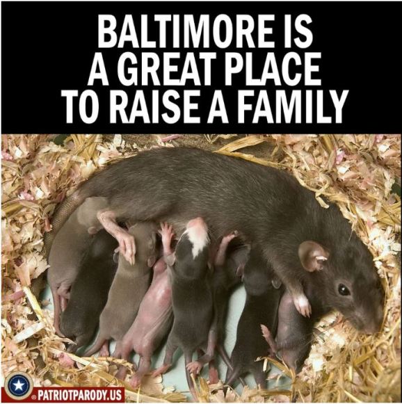 rats baltimore
