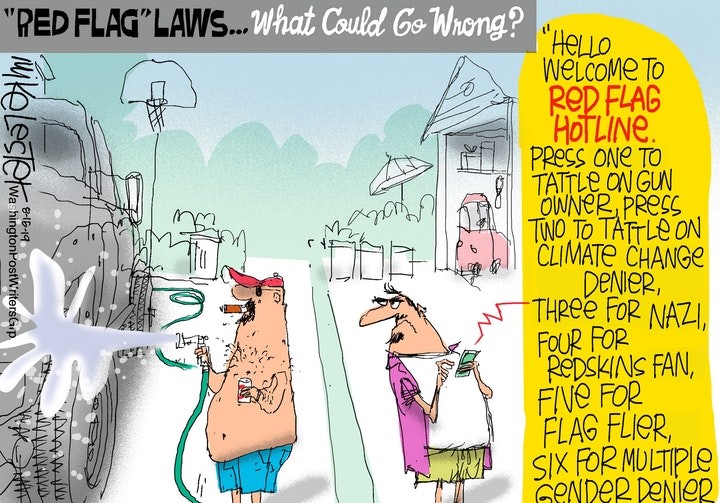 red flag laws 4.jpg