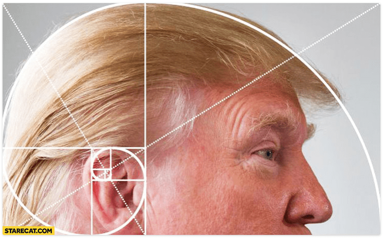 trump fibbinoci.png