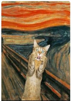 van gogh scream cat