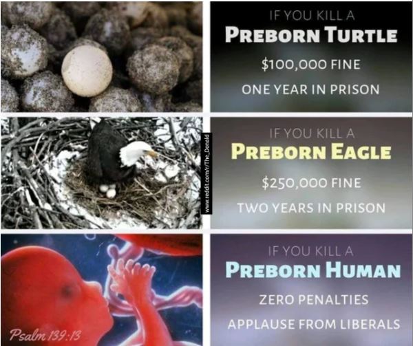 abortion