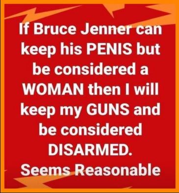 bruce jenner gun control