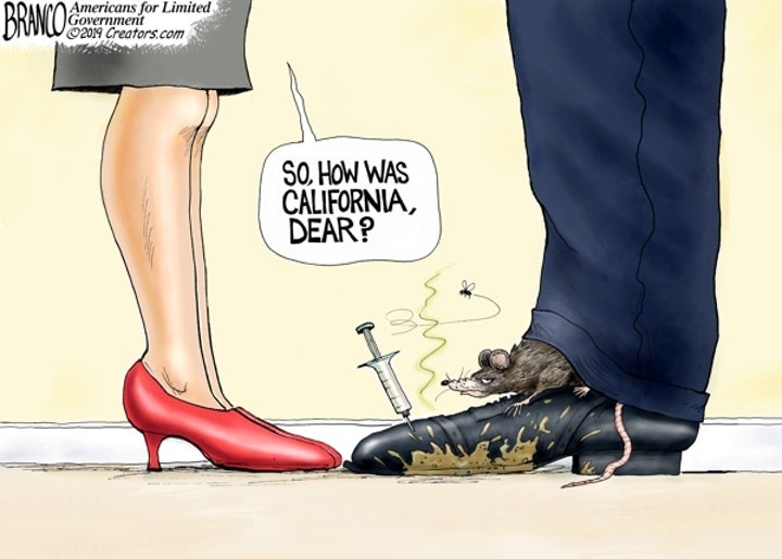 california rat branco.jpg