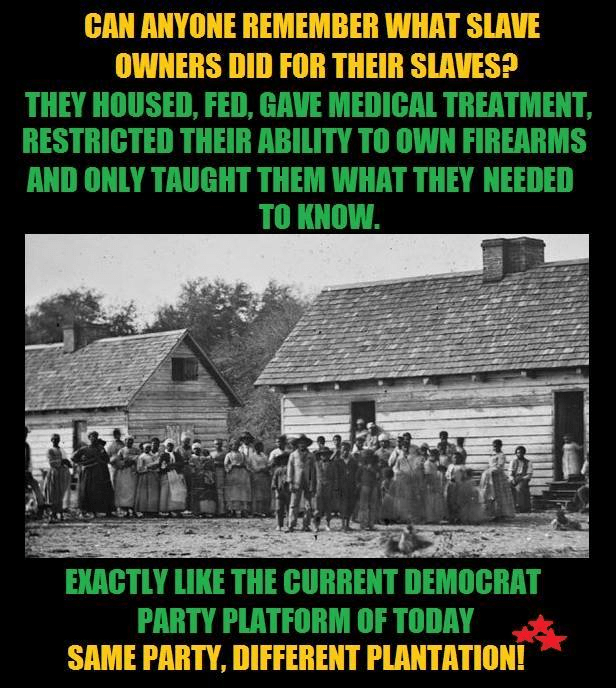 democrat plantation.png