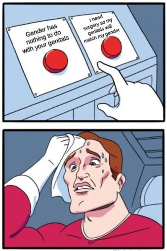 gender trans.JPG