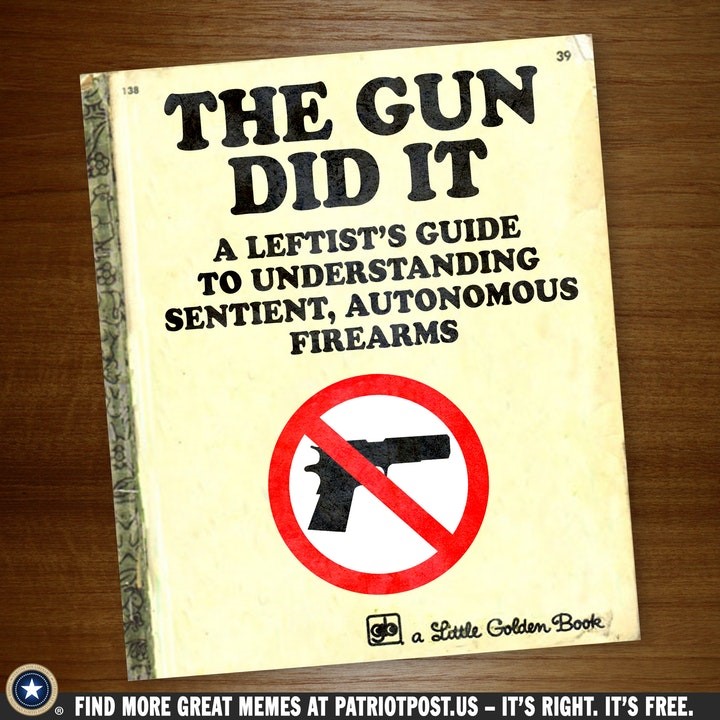 gun control book.jpg