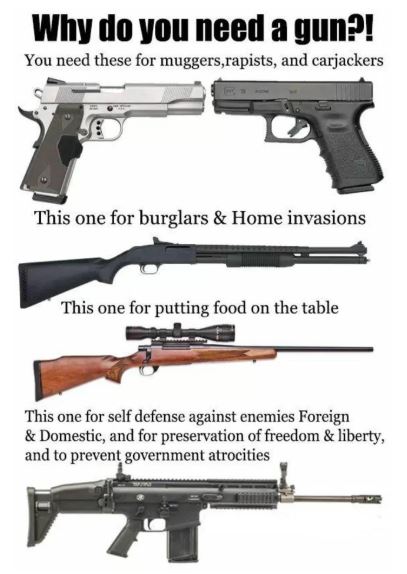 guns.JPG
