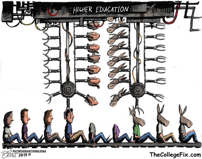 higher education.jpg